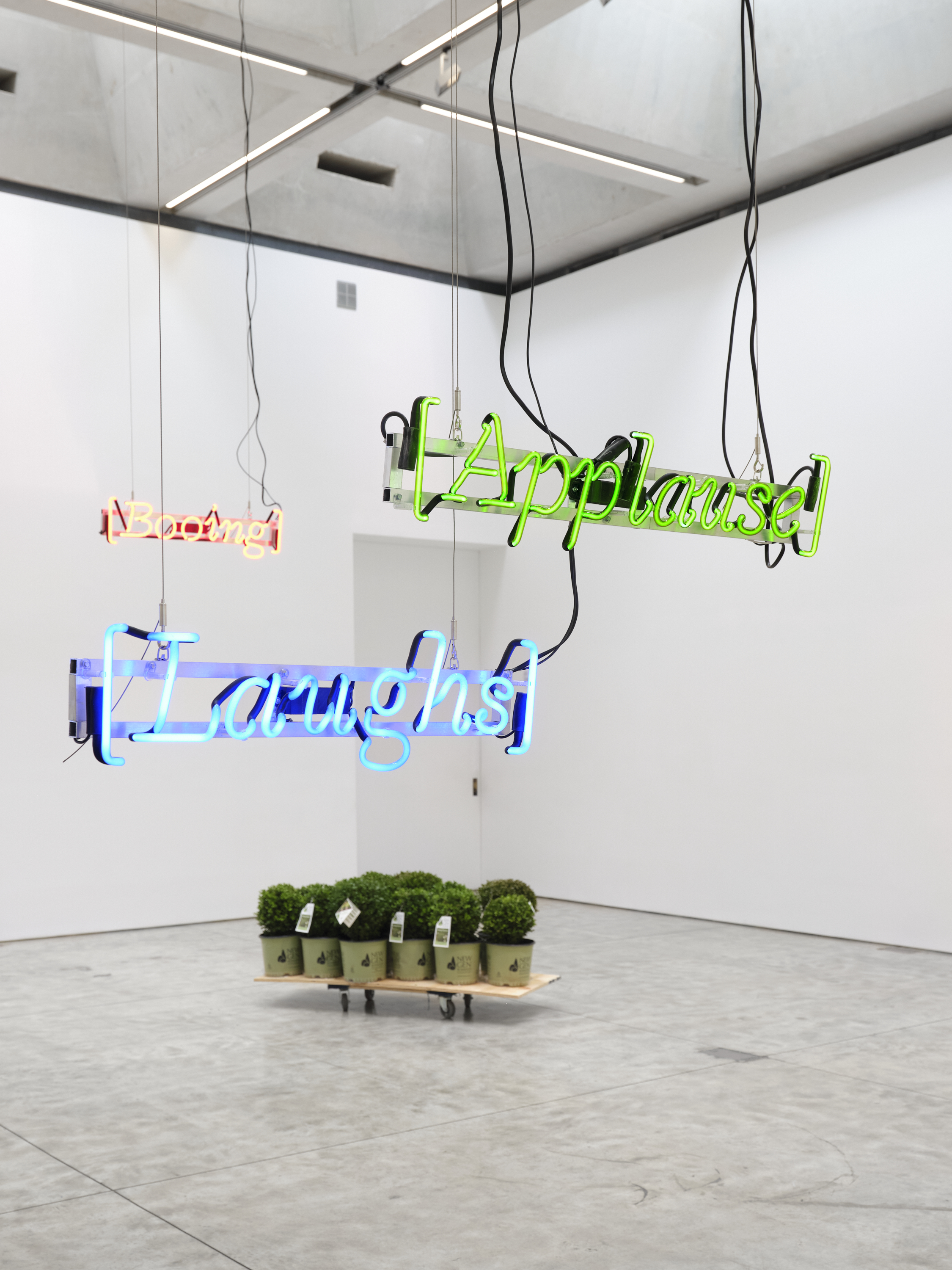 Jill Magid, Installation view of Notice of a Citizen, Olney Gleason, NY. 2026