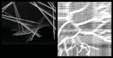 Fall 2017 Animate Archi-Tectonics_Project by Sidney Hoskulds-Linet