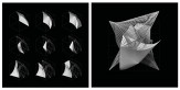 Fall 2017 Animate Archi-Tectonics Project by Xinyi Cindy Guo