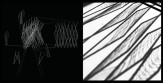 Fall 2017 Animate Archi-Tectonics_Project by Jiawen Scarlett Chen
