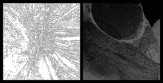 Fall 2017 Animate Archi-Tectonics_Project by Ezekiel Binns