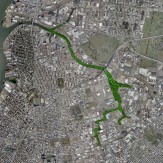 Newton Creek | Upland Ecological Restoration