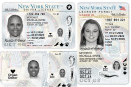 Driver's License Sample