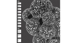 Marc Fornes/THEVERYMANY, "Double Agent Operations"