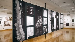 End-of-Year Exhibition, 2018 | Graduate Design Research Studio, Fall and Spring