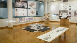 End-of-Year Exhibition, 2019 | Thesis, Spring