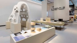 Elizabeth Diller AR'79