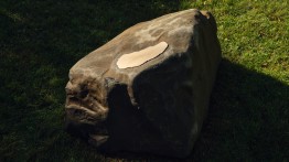 Leslie Hewitt Birthmark