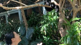 Student at zoo
