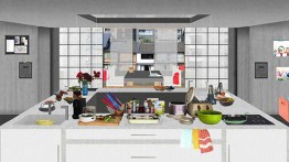 Eugenie Hanae Bliah, Socks: Collective Living for Housewives in Japan (2014)