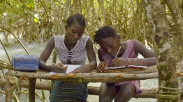 Mangrove School still