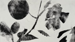 Works on Paper