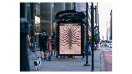 Felipe Baez - Unruly Forms Artwork on bus shelter