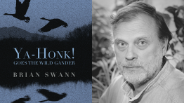 Ya-Honk Book Cover