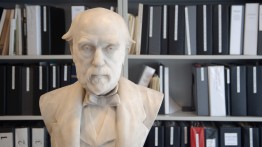 Bust of Abram Hewitt