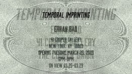 Senior Presentation by Erhan Bao