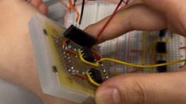Circuit for the Thrill-o-Meter