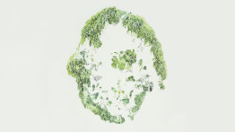 Broken Wreath