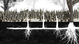 Architecture of nature-Nature of Architecture, Life in Aerobic Conditions, Mangroves, FL, Lenia Pachy