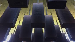 Irene Cheng + Richard Sommer: Monuments Rise / Monuments Fall
