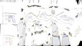 The Exchange Student Exhibition