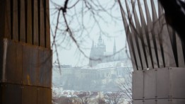 Photo by Miroslav Cikán