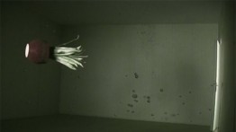 Video still, Weightless Space, courtesy Jonas Dahlberg
