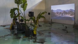 A Way to Leak, Lick, Leek, 2016. Installation image at Fahrenheit by FLAX, L.A. Photo by Jeff McLane