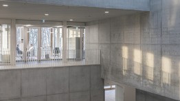 Image: Copyright Laurianghinitoiu Karamukkuo Unil