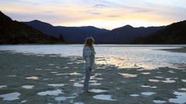 A still from Amie Siegel's 'Winter' (2013). See below for more details. Image courtesy Simon Preston Gallery