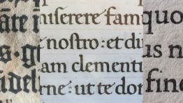 Calligraphy to Type