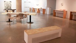 'The Glimmering Wing' (installation view) by Emma Faith Hill, Mary Wichmann and Page Page<br><br>