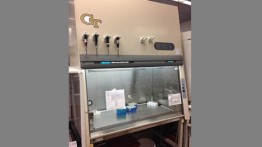 Laminar Flow Hood for Tissue Culturing