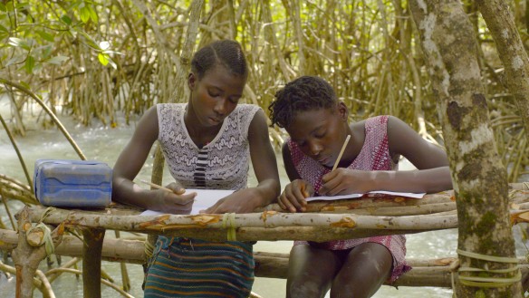 Mangrove School still