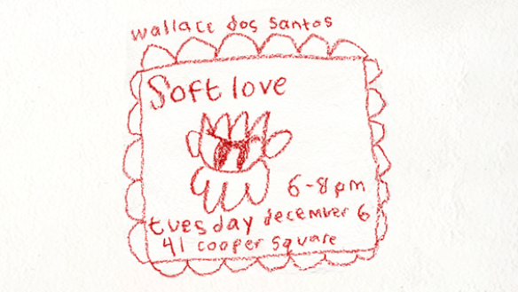 Senior Presentation by Wallace Dos Santos