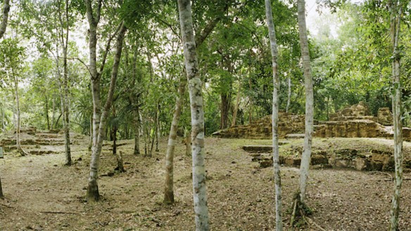 Tzunuun