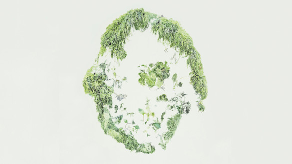 Broken Wreath