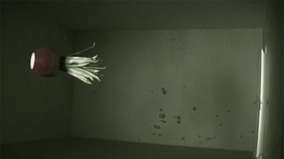 Video still, Weightless Space, courtesy Jonas Dahlberg