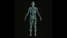 Body Tracking