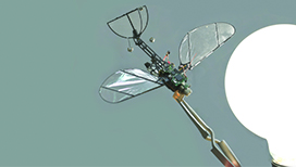 Bioengineering image